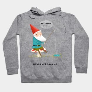 Forever a Gnome 3 Hoodie